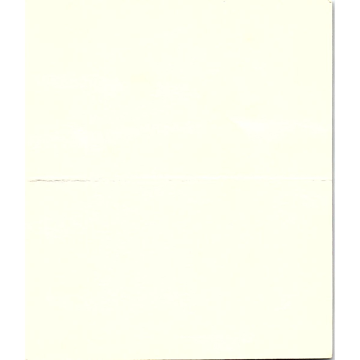 The Ski Company June Lake CA Vintage Business Card TH2-B1