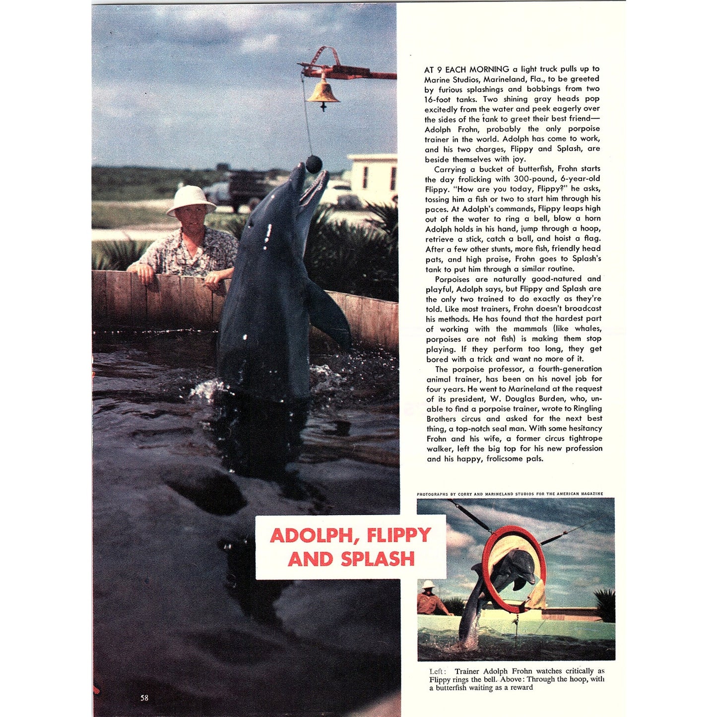 Mac Brainard Push Button Home Hollywood CA, Adolph Fulton Dolphins 1953 V26-4