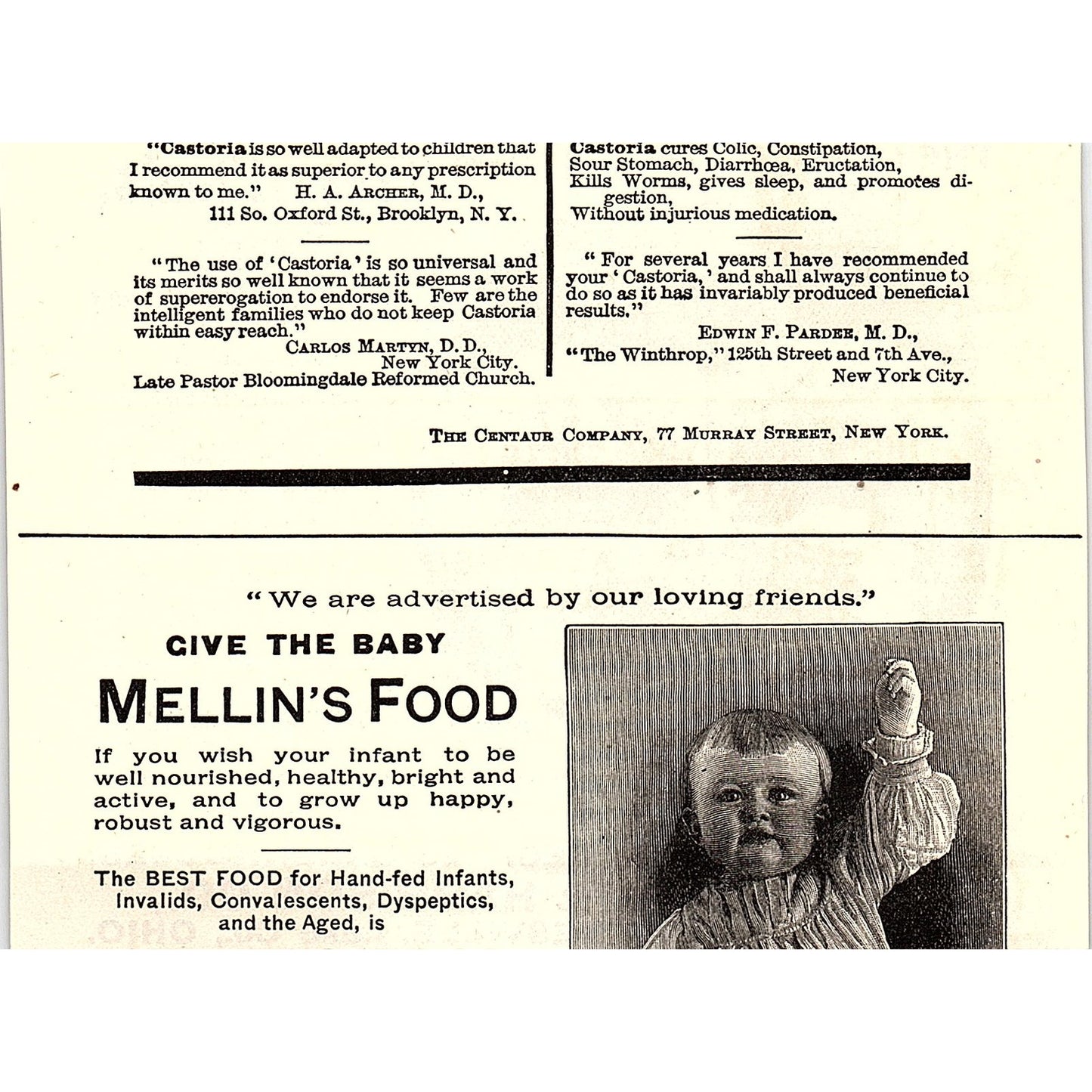 The Storrs & Halverson Co Pansies Seeds Painesville Ohio 1892 Ad AG2-H5