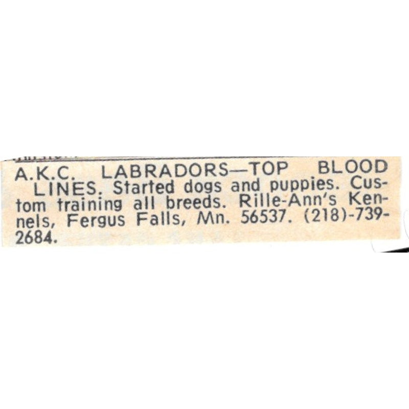 Rille-Ann's Kennels AKC Labradors Fergus Falls MN 1977 Ad AF6-S9