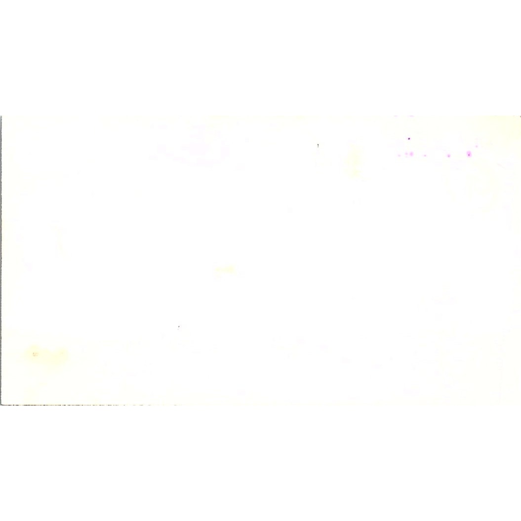 Kathleen E Rogers Special Creations by BJ Pacifico Vintage Business Card SC9-B11