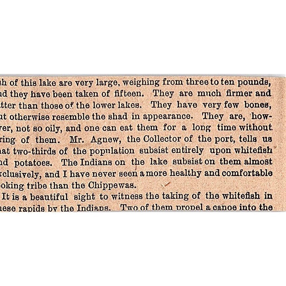 Sea & River Fishing - Fish in Season for November 1878 Article AG2-S15