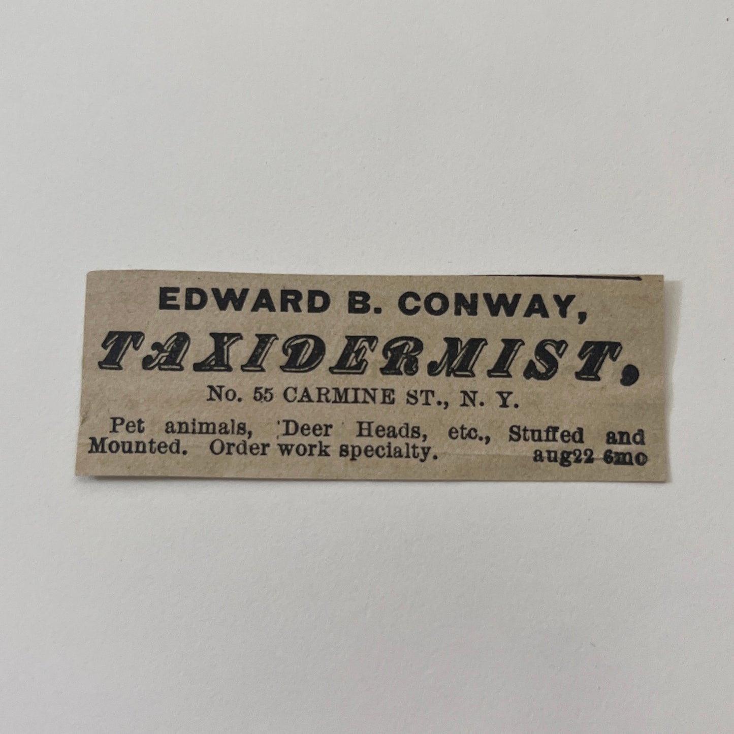 Edward B Conway Taxidermist 55 Carmine Street NY 1878 Ad AG2-M16
