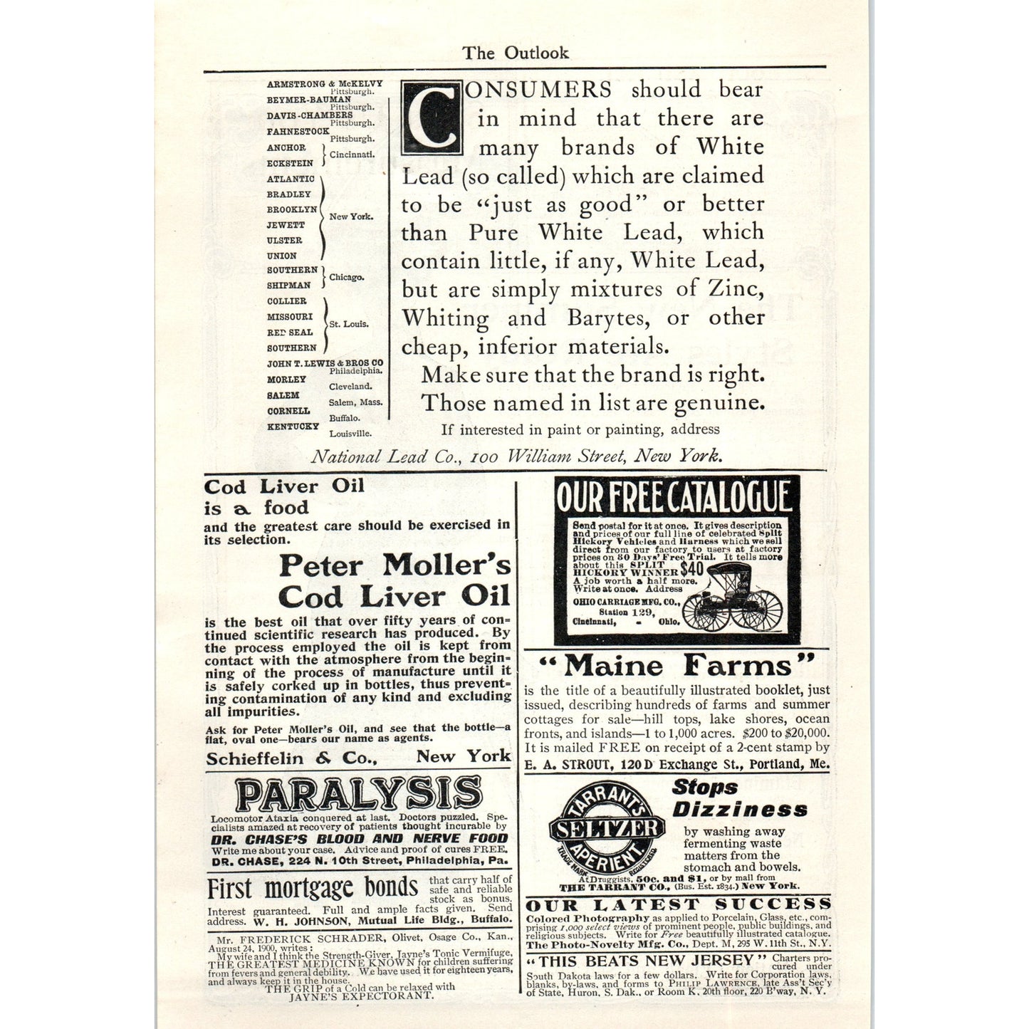 National Cloak and Suit Co Summer Styles New York 1903 Magazine Ad AF7-E4