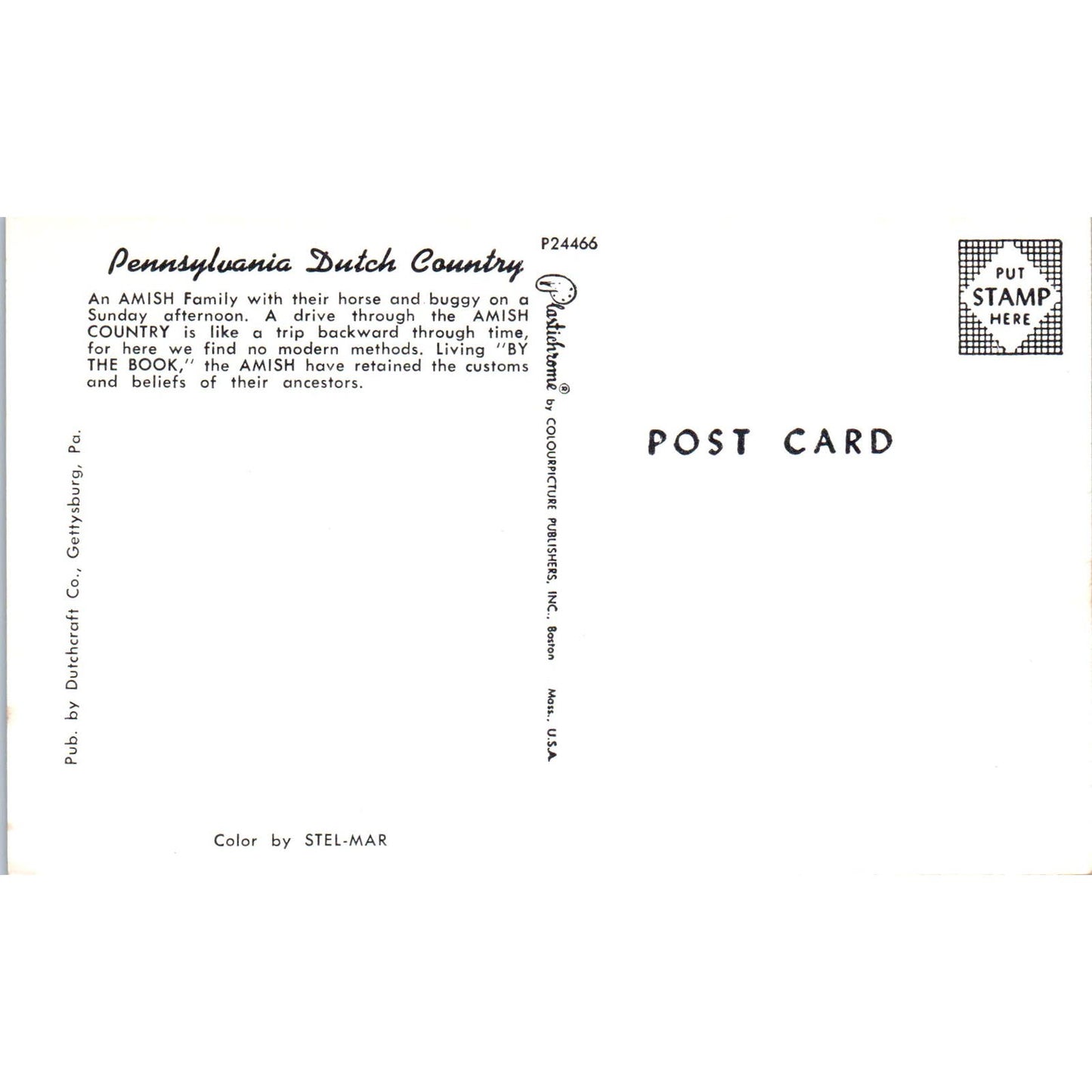 Amish Family Buggy on Sunday Drive Pennsylvania Dutch Country Postcard PD7