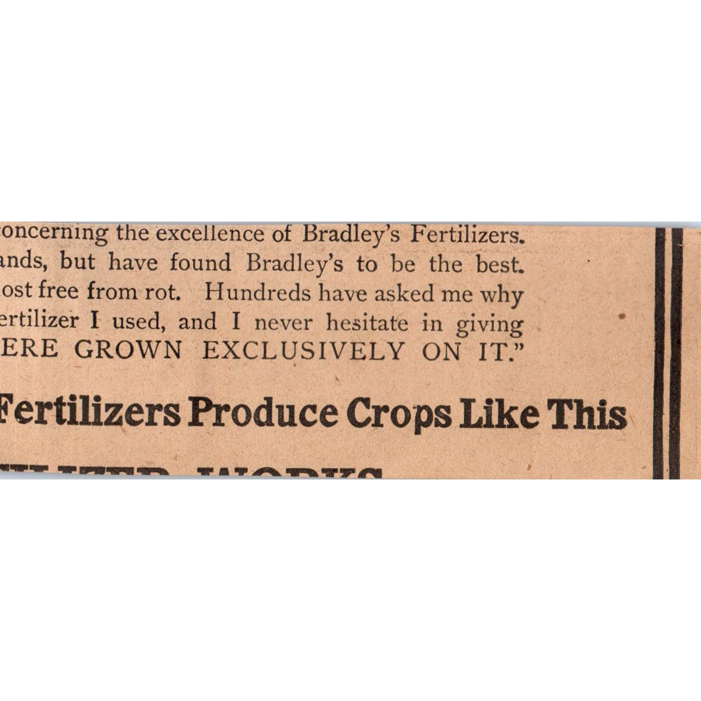 Burpee's Seeds W. Atlee Burpee & Co Philadelphia 1905 Magazine Ad AF1-NH3