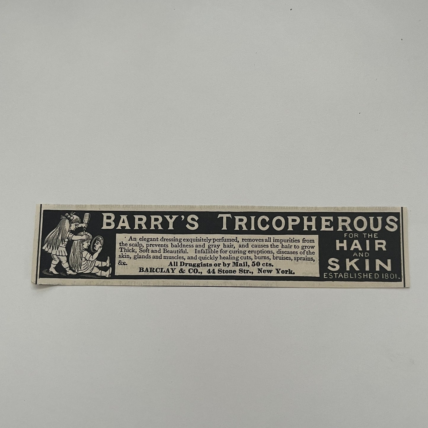 Barry's Tricopherous for the Hair and Skin Barclay & Co NY 1892 Ad AG2-7