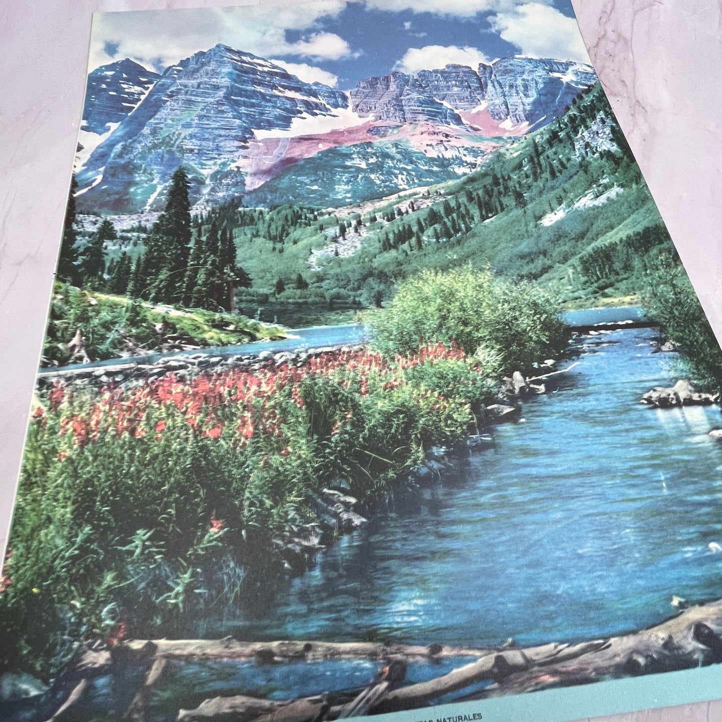 Bellezas Naturales Vintage Mexican 12x14" Art Print V21