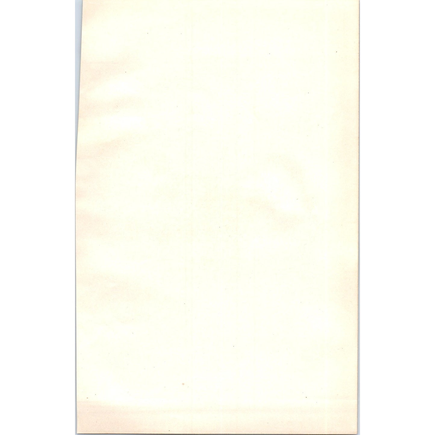 Kentish Plover Bird 1903 Original Color Engraving Plate Print AD8-B5