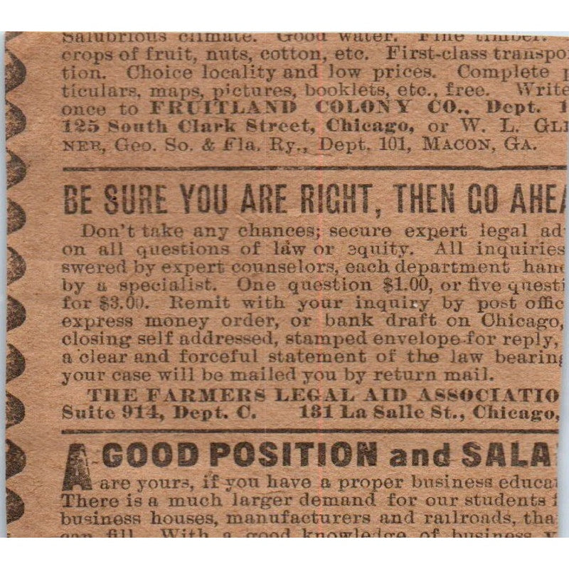 Blood Poison Cure - Cook Remedy Co Chicago IL 1906 Original Ad AB6-CL1