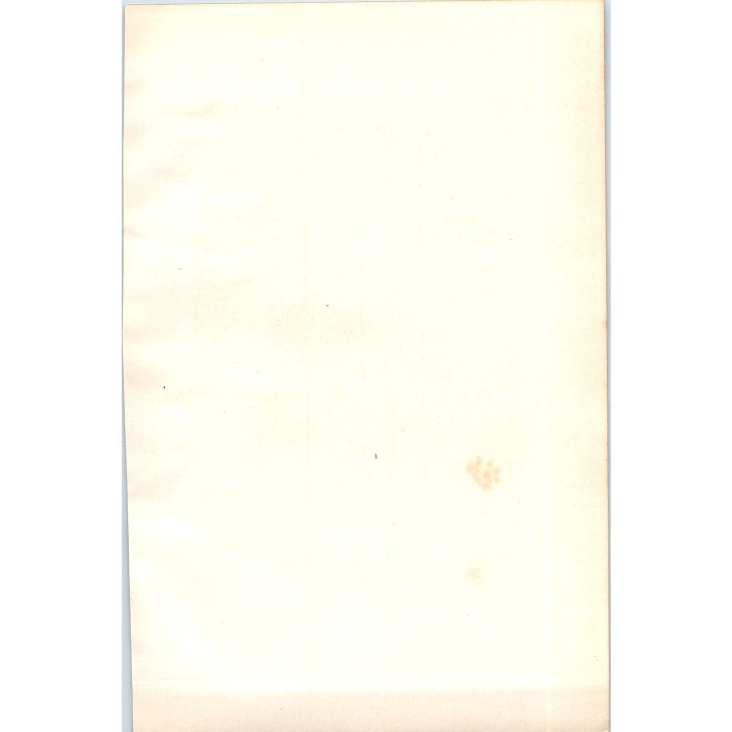 Red-Legged Partridge Bird 1903 Original Color Engraving Plate Print AD8-B1