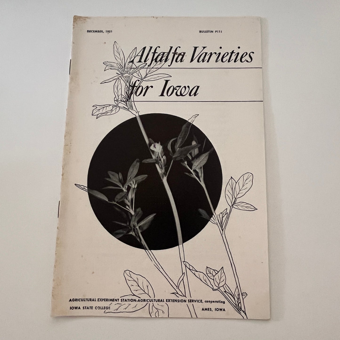 Alfalfa Varieties for Iowa 1951 Ames IA Farm Bulletin TK2-XB5