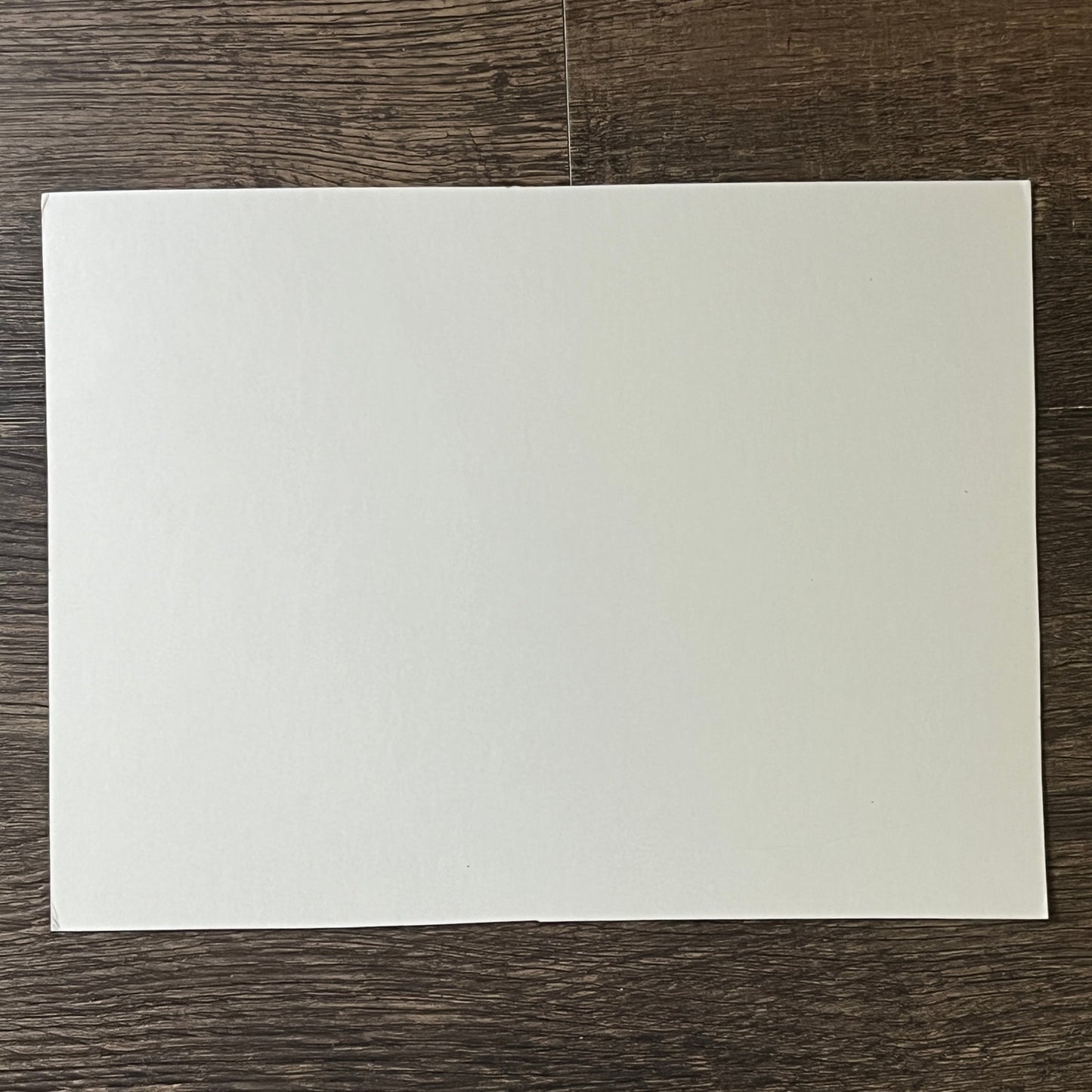 American Egrets & Nesting Ground in Cypress Swamp SC 6x9 Art Print V2