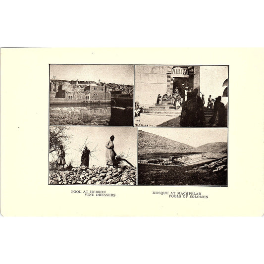 Pool at Hebron Vine Dressers 1905 Art Print SAG4-4