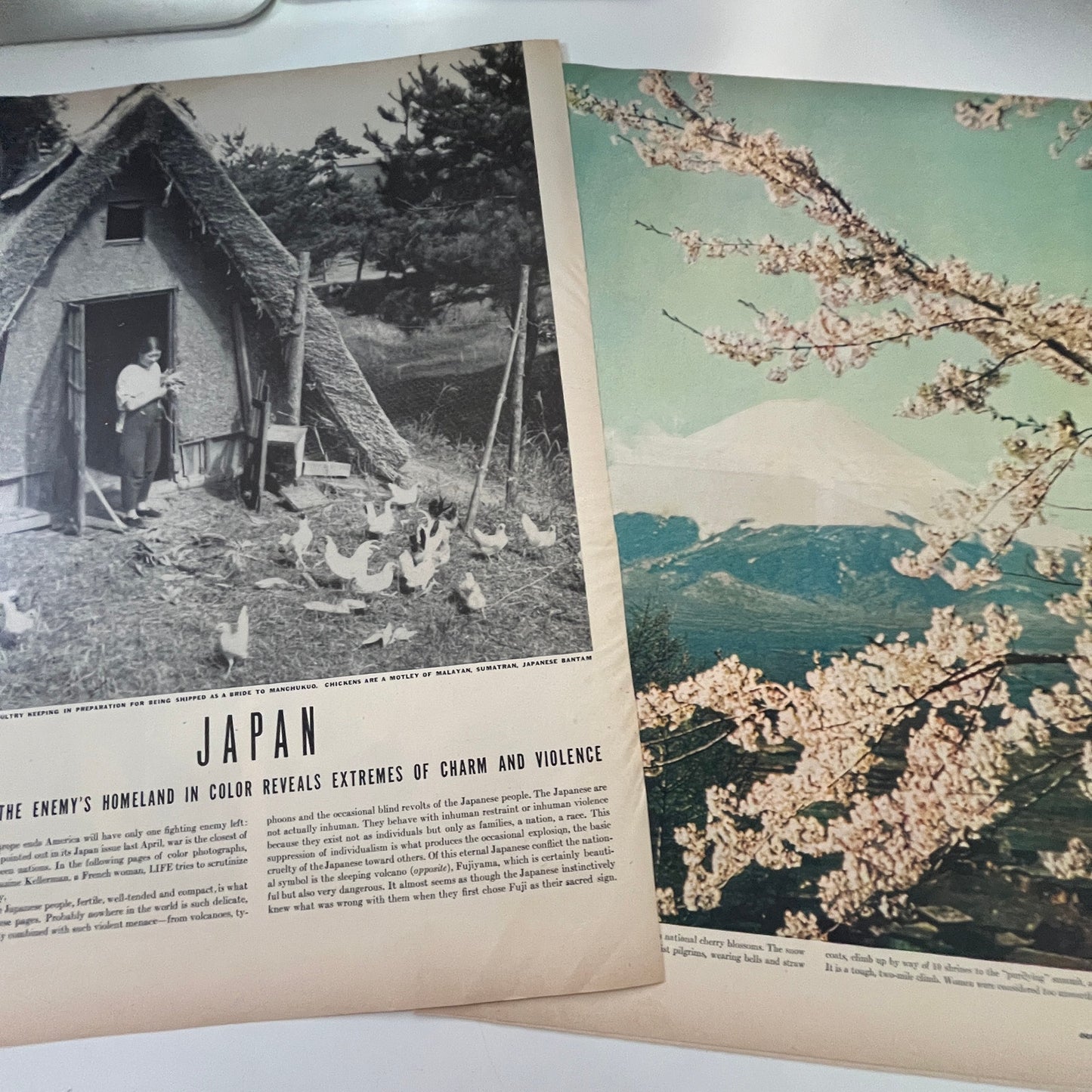 Japan: A View of the Enemy's Homeland 4 Pages 1940s WWII Era Article V30-1