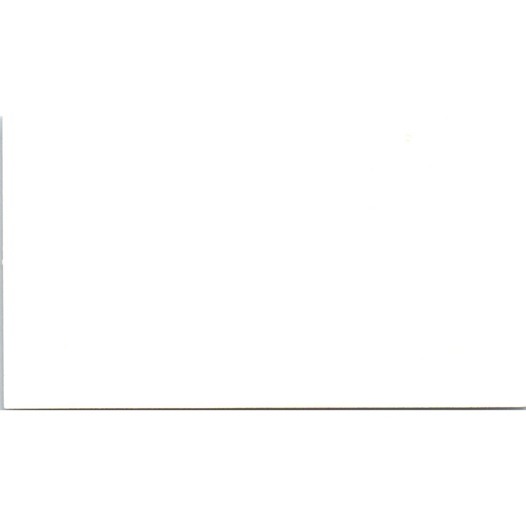 Thai Restaurant of Norcross GA Vintage Business Card SE3-B6