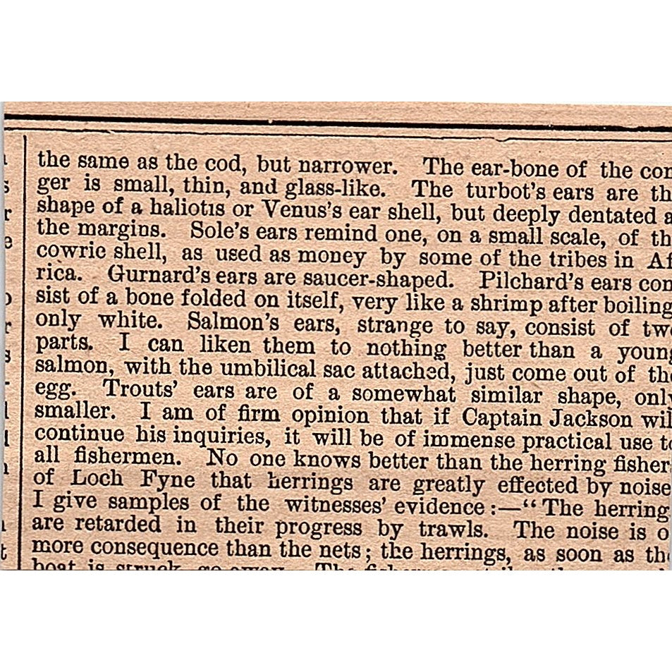 Screens for Outlets to Trout Ponds T.E. Porter New York 1878 Article AG2-M8