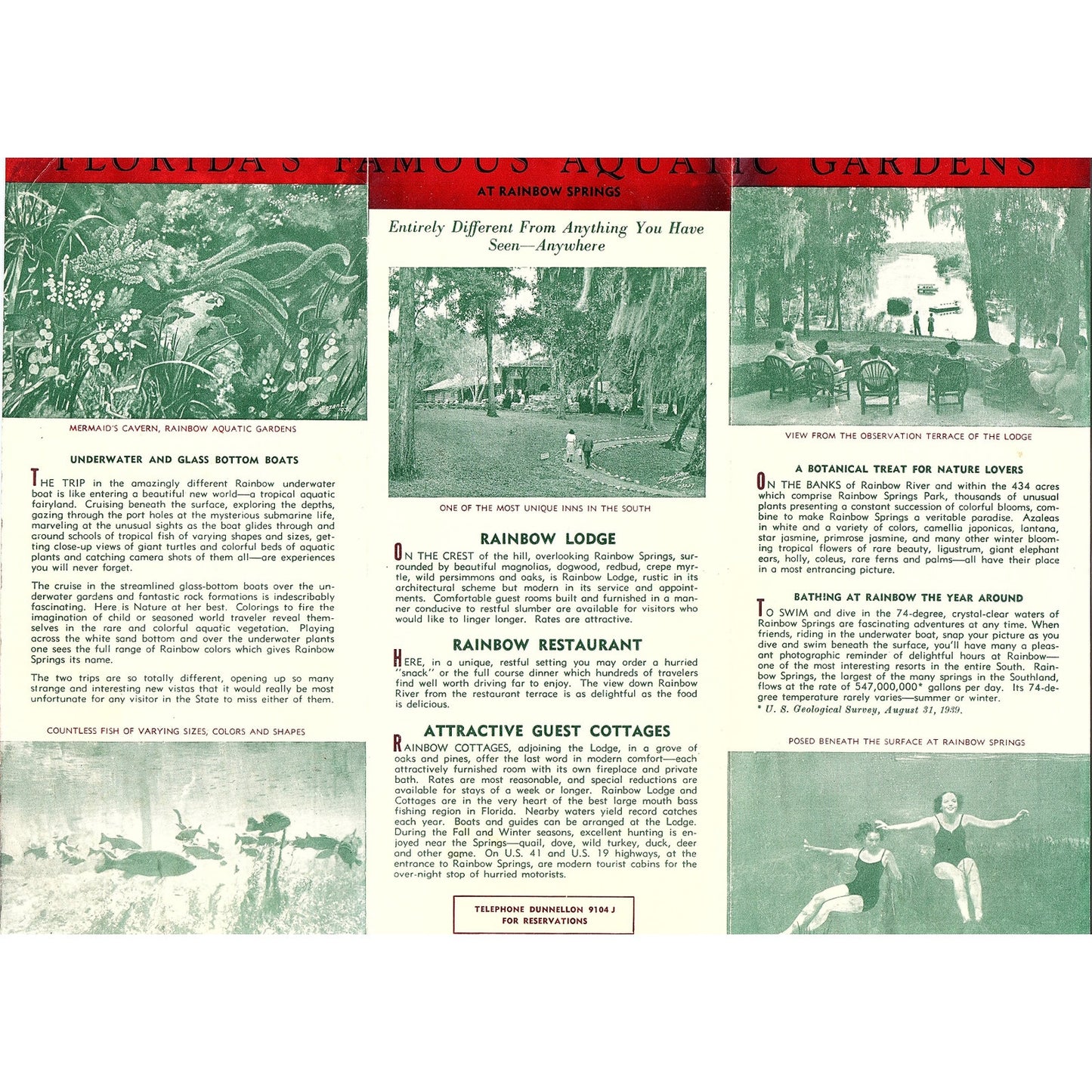 c1940 Rainbow Springs FL Glass Bottom Boat Tour Fold Out Travel Brochure TH2-TB2