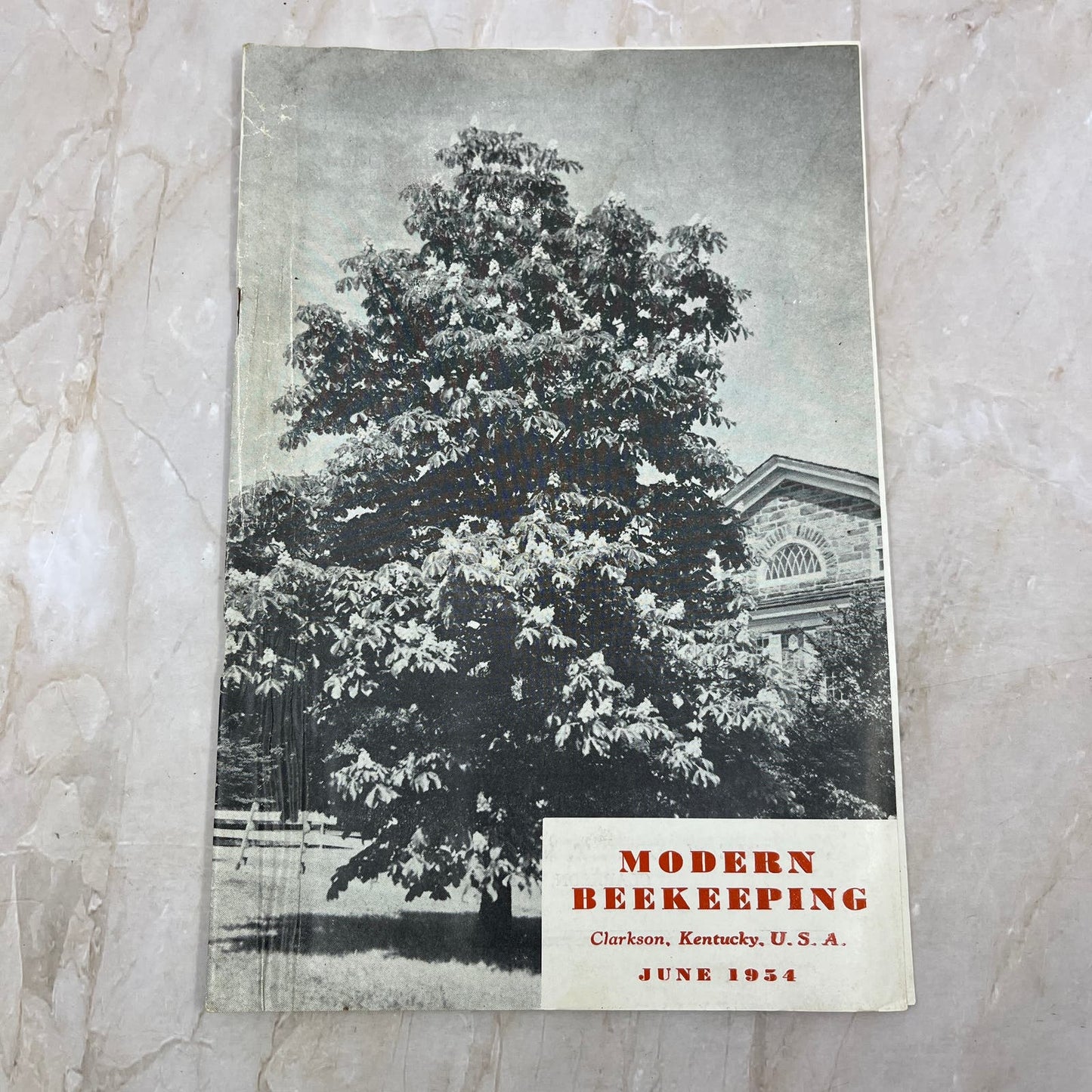 1954 Jun Modern Beekeeping Magazine Clarkson KY Walter T. Kelley TD5