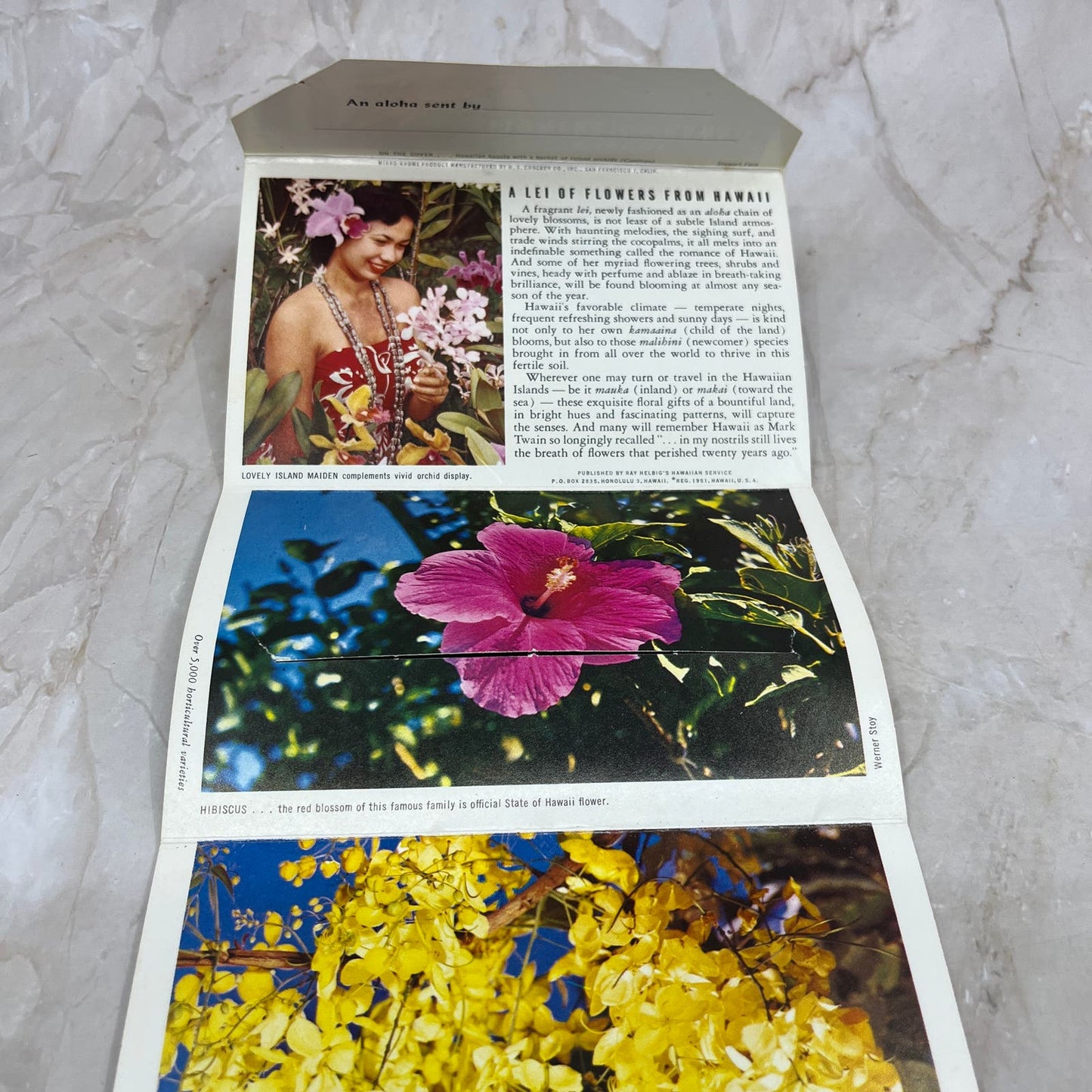 A Lei of Flowers from Hawaii Vintage Souvenir Folder Book Postcards TI8-S2