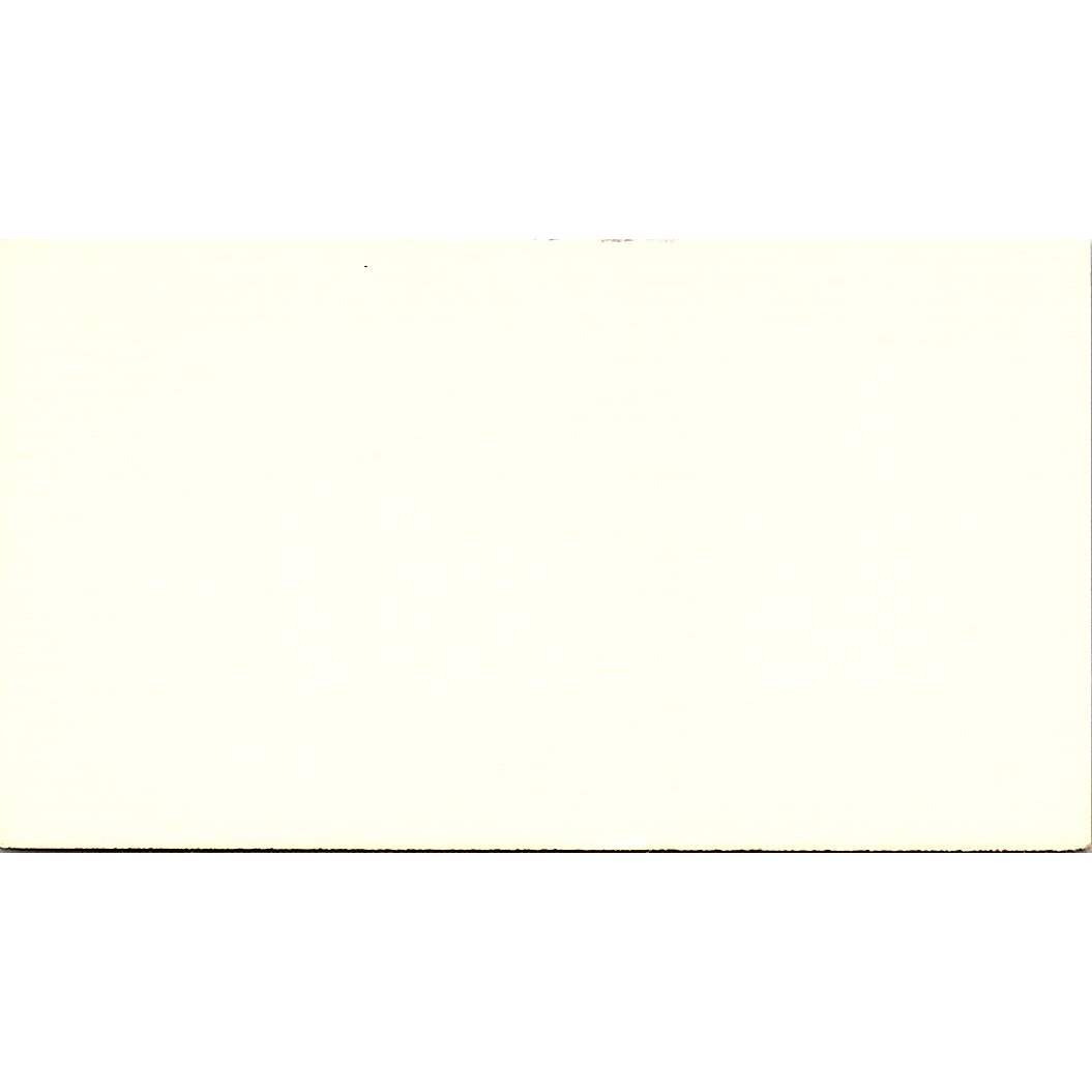 Denise Ripkowski Apartment Placers Houston TX Vintage Business Card SE3-B15