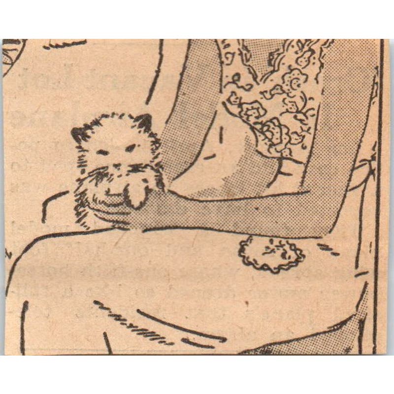 Crash in Vacant Lot is Model Airplane 1935 Minneapolis Journal Article AE7-N6