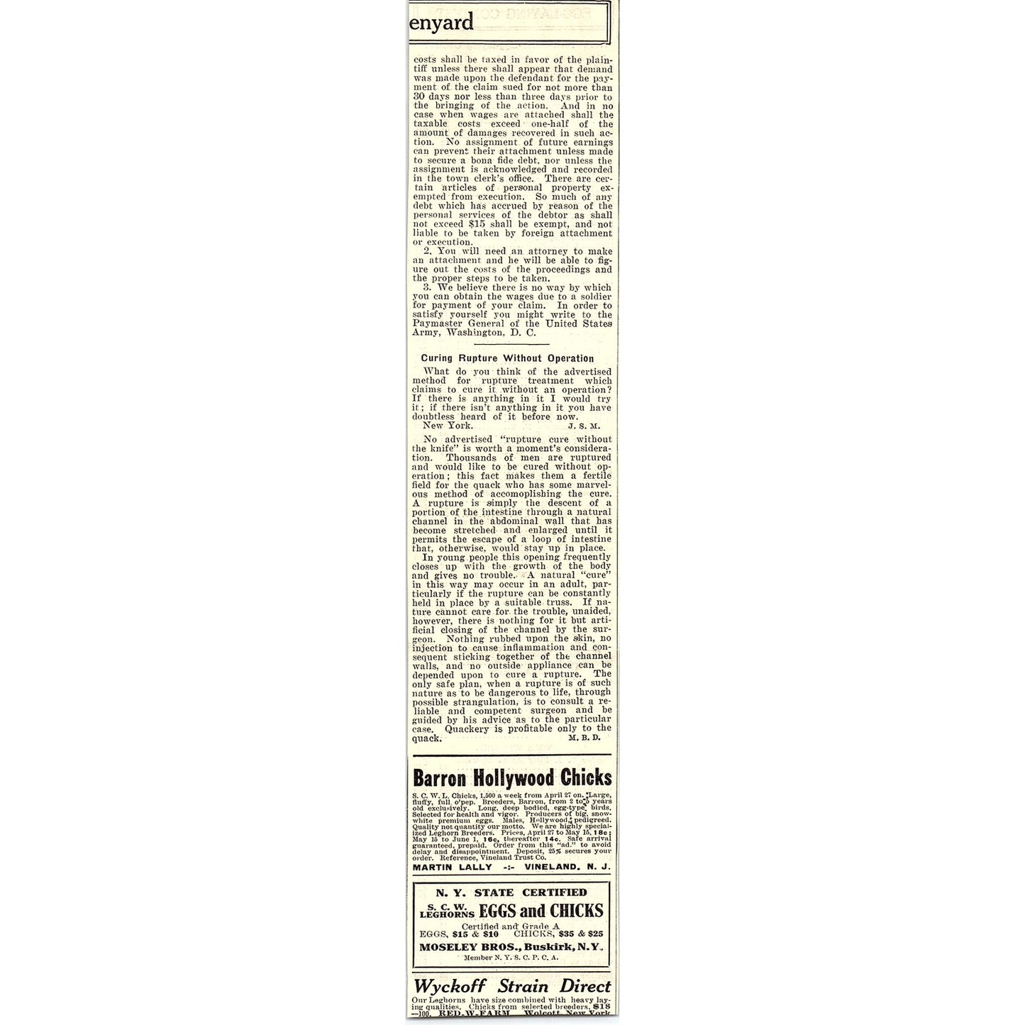 Chicken Egg Laying Contest Results New York State March 26 1924 Ad AG3-4