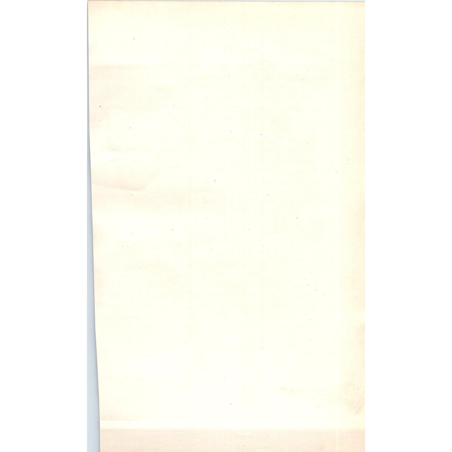 Jackdaw Bird 1903 Original Color Engraving Plate Print AD8-B3