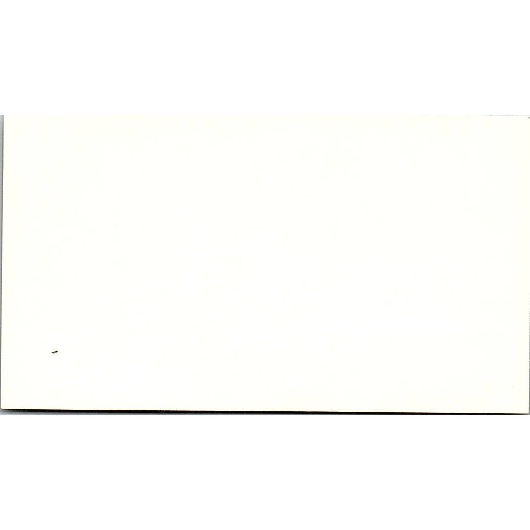 John Sooklaris Masterpiece Artist Canvas San Francisco CA Business Card SC9-B9