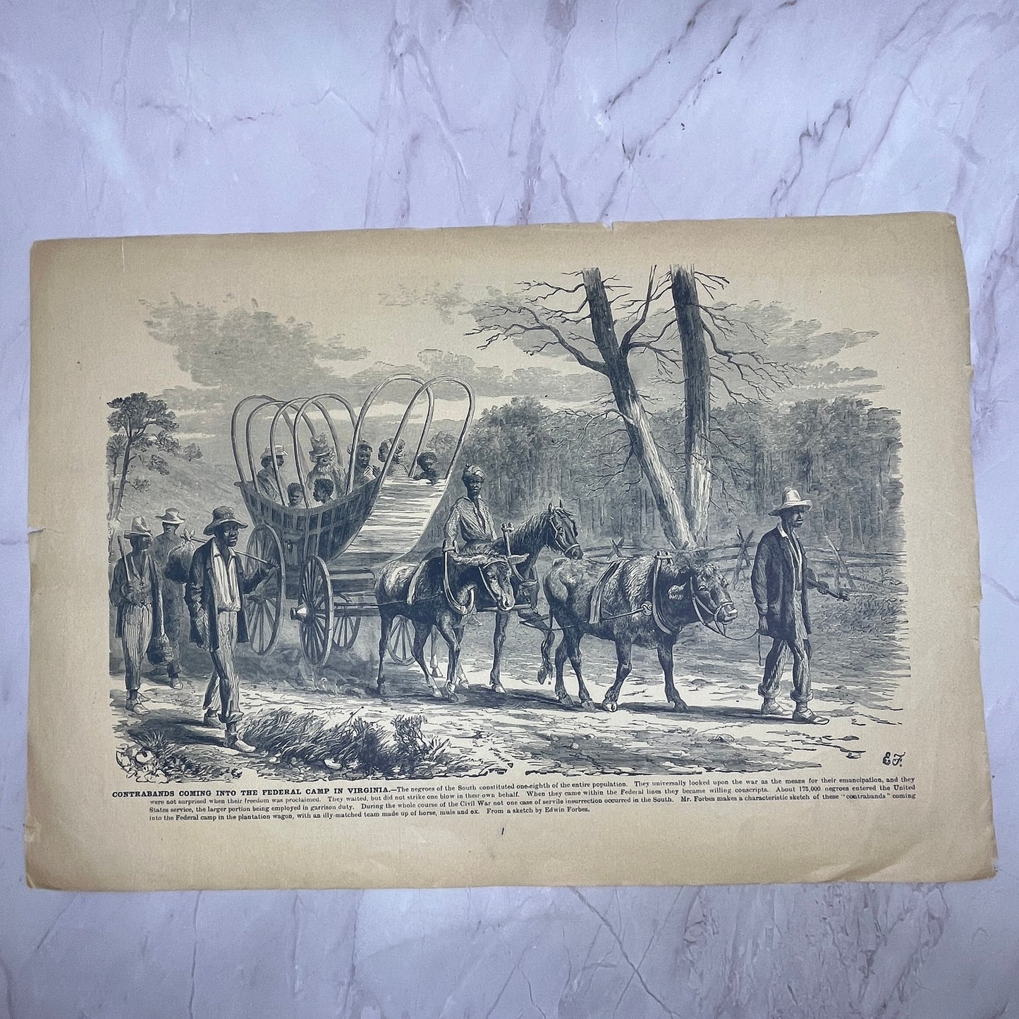Destruction of Privateer Nashville, Contrabands Federal Camp VA Engraving V14-5