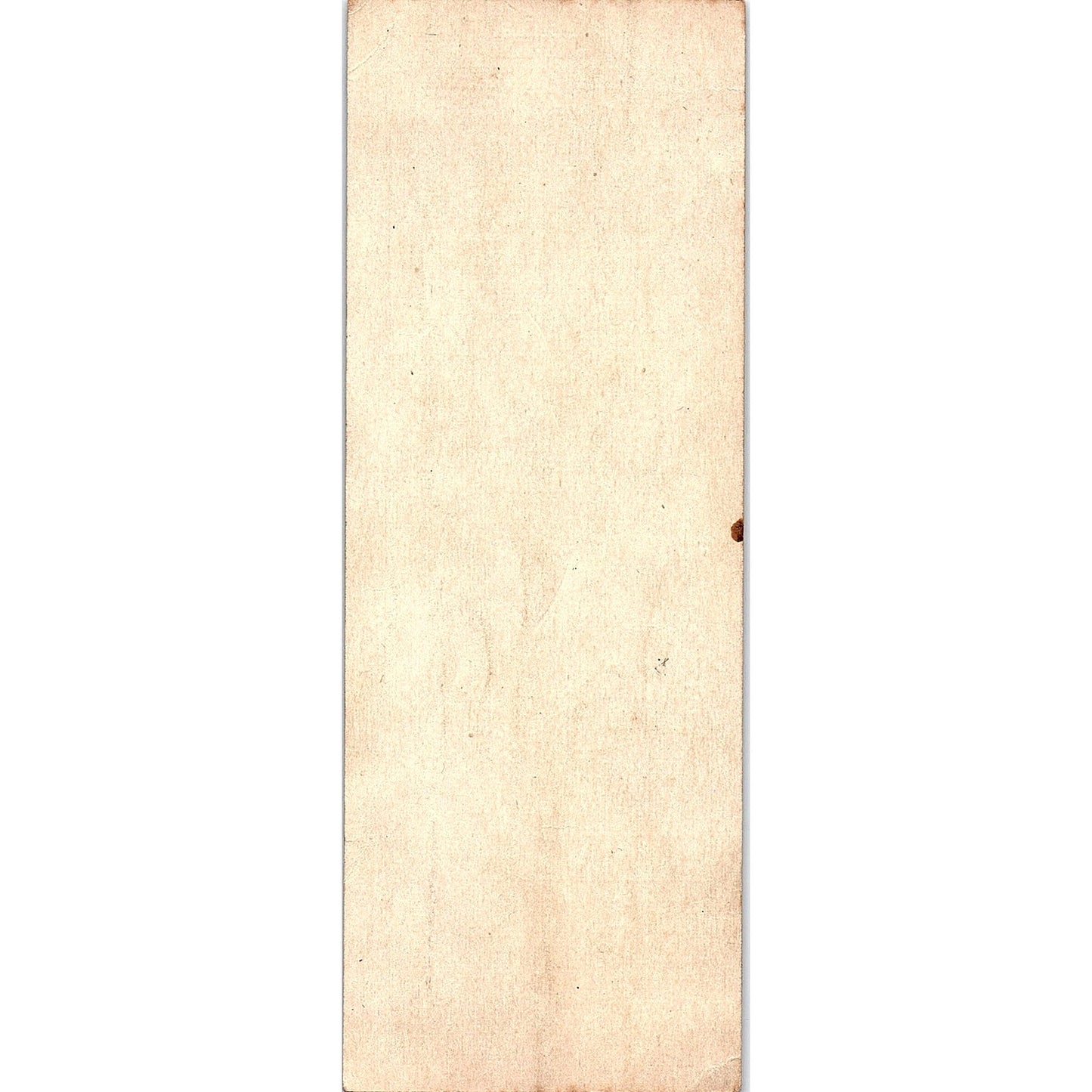 1933 The Wet Ticket - Voting Guide to Repeal 18th Amendment Prohibition AF3-10