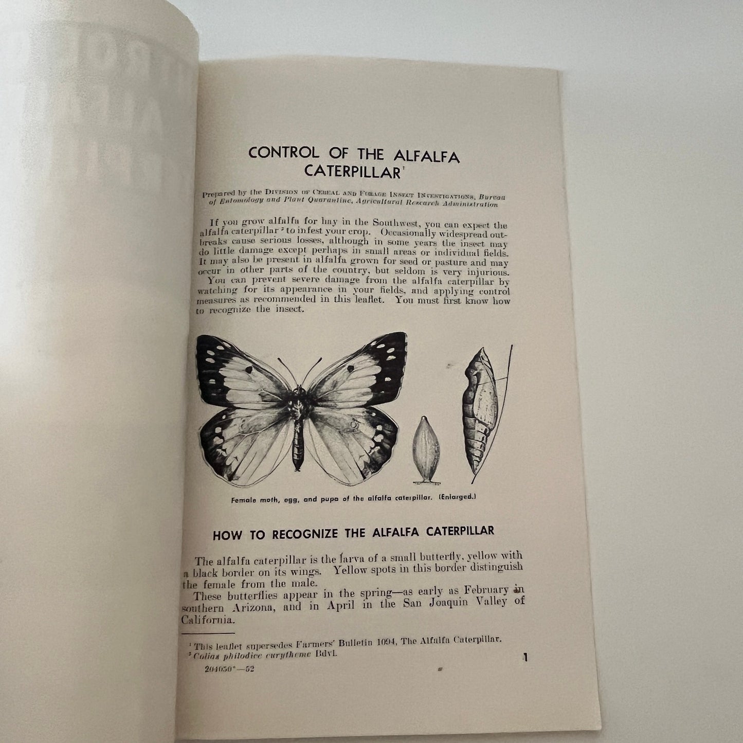 Control of the Alfalfa Caterpillar 1952 USDA Farm Bulletin Booklet TK2-XB4