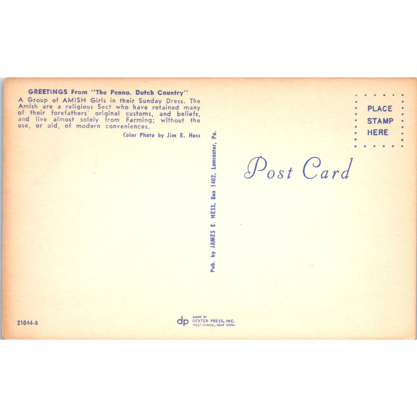 Amish Girls in their Sunday Dress PA Dutch Vintage Postcard PD4