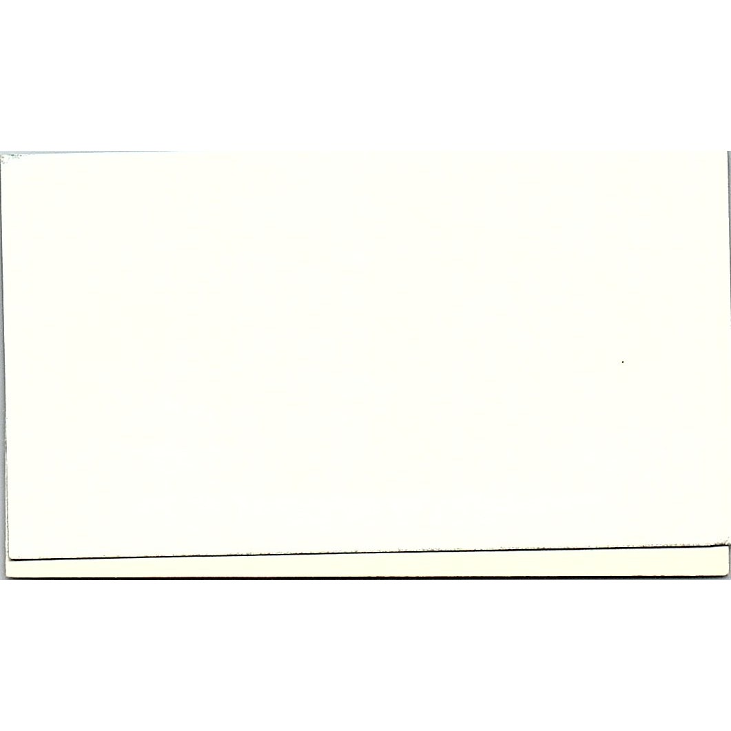 FloraCraft Marla Canfield Ludington MI Vintage Business Card SC9-B9