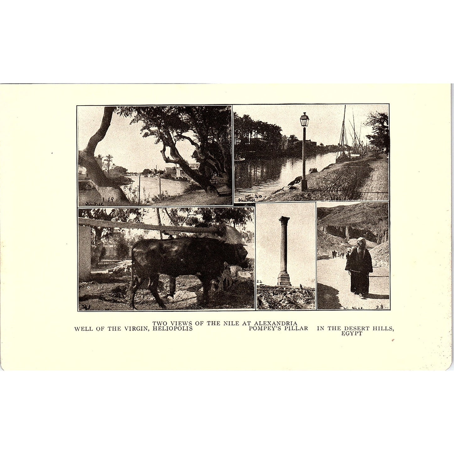 Two views of the Nile at Alexandria 1905 Art Print SAG4-4