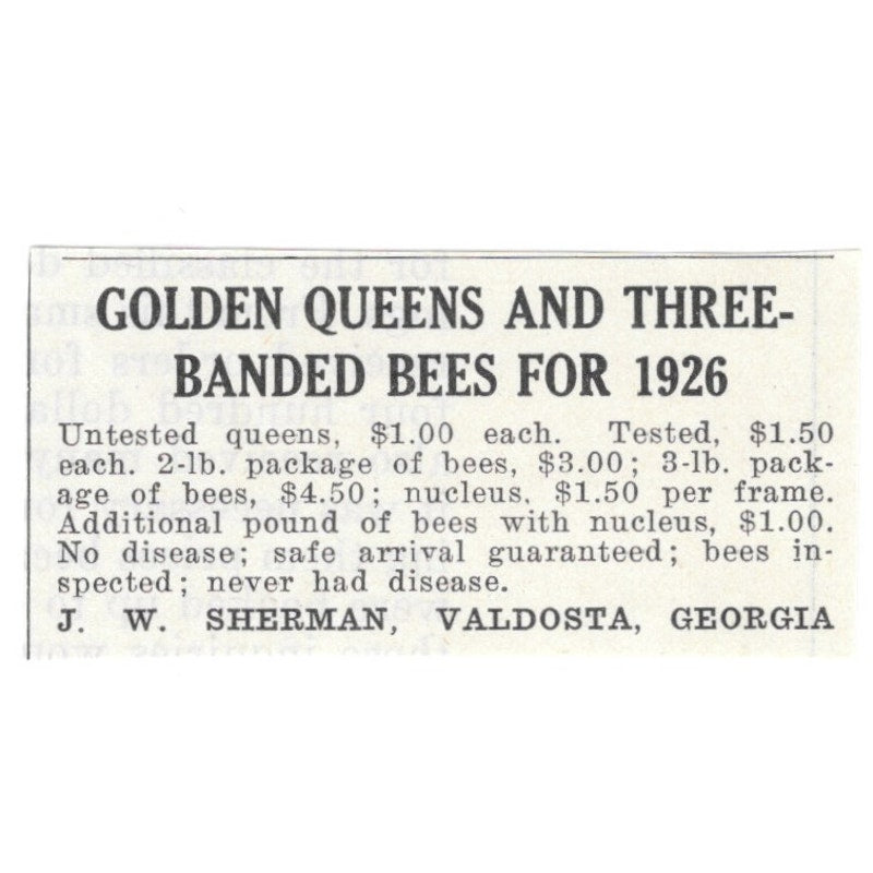 J.W. Sherman Golden Queens Valdosta Georgia 1926 Ad AG3-S23