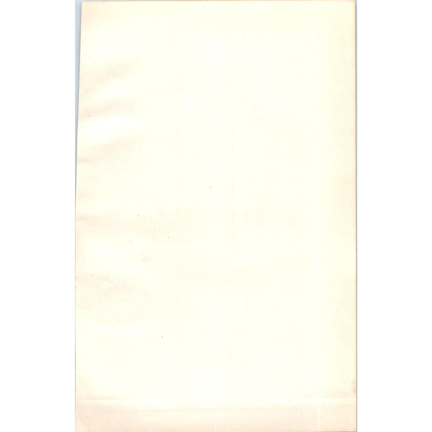 Coot Bird 1903 Original Color Engraving Plate Print AD8-B6