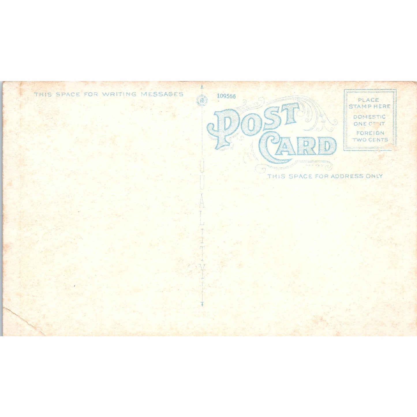 Morris Memorial & Immanuel Lutheran Church Chatham NY Vintage Postcard PD3