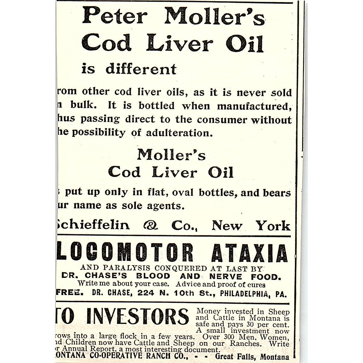 The Kodak Correspondence School Eastman Kodak Co Rochester NY 1903 Ad AF8-M6