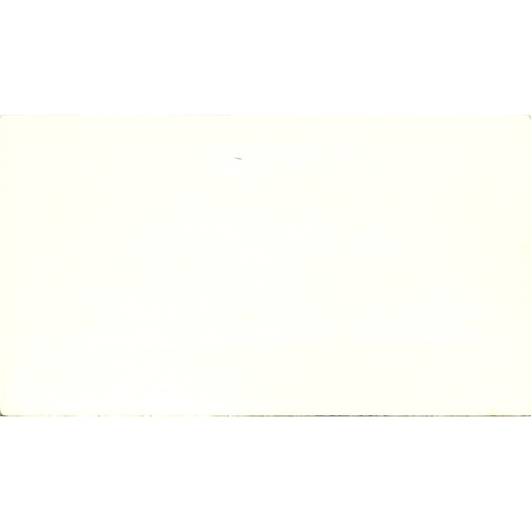 Painting by Cheryl Adams Channelview TX Vintage Business Card SE3-B12