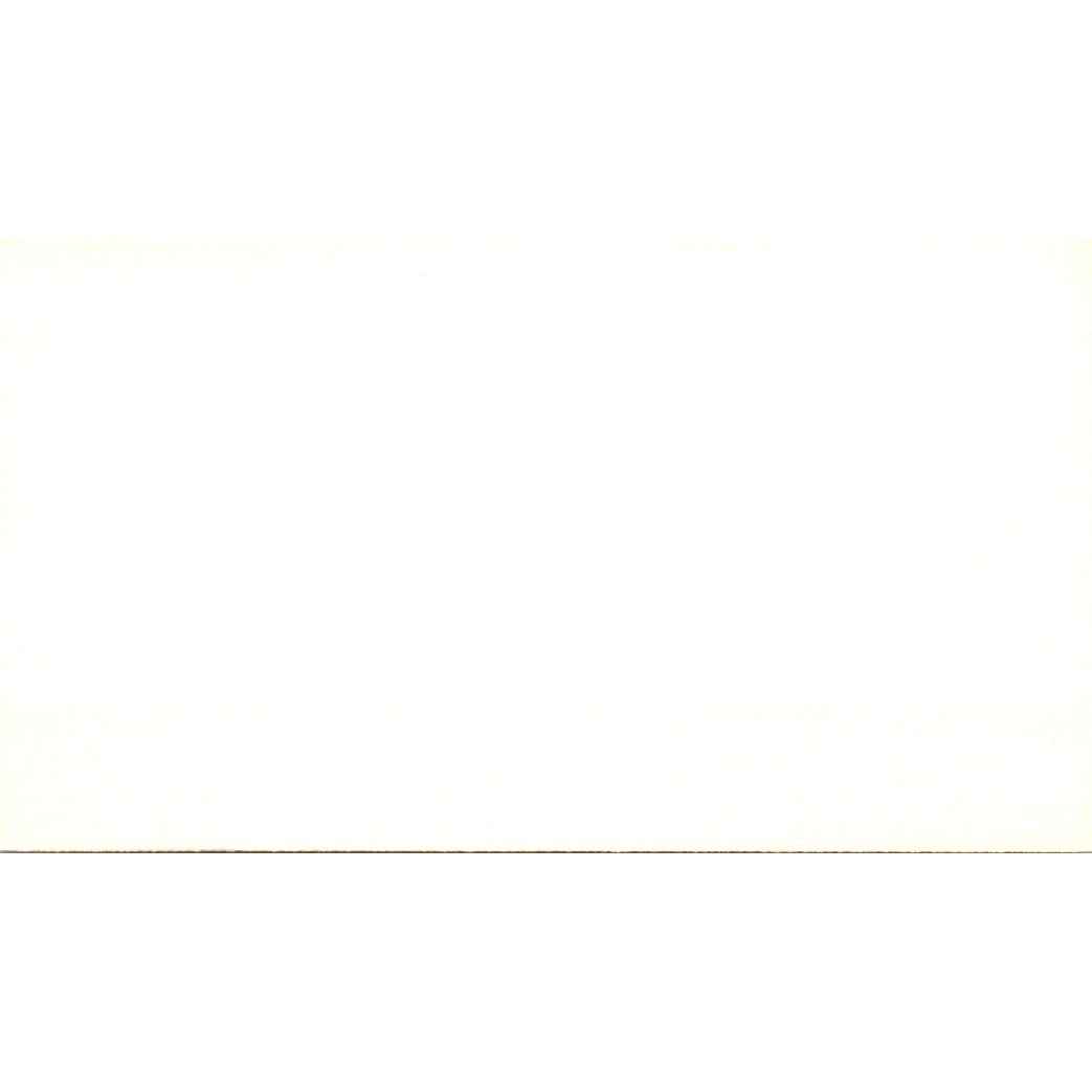 Thomas G. Stecik Safeguard Business Systems Houston Vintage Business Card SE3-B4