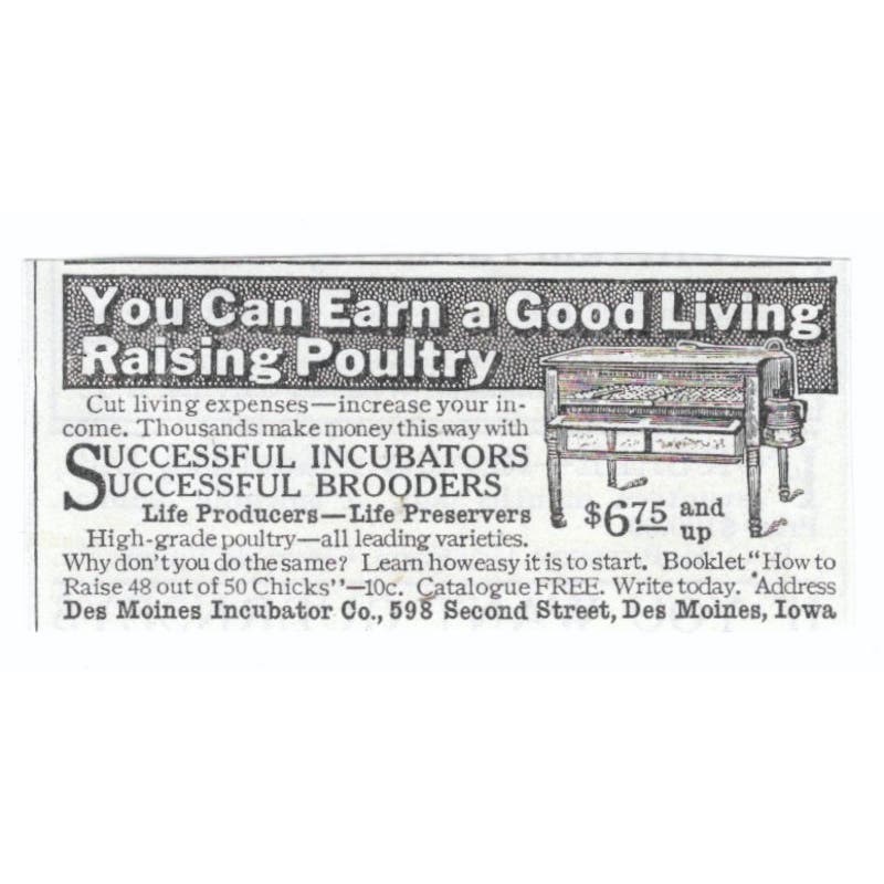 Des Moines Incubator Co Iowa Money Raising Poultry 1913 Magazine Advert AE7-N8