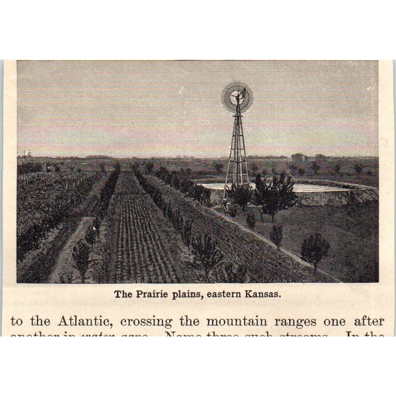 Crater of Castle Geyser Wyoming 1901 Engraving AF2-P4