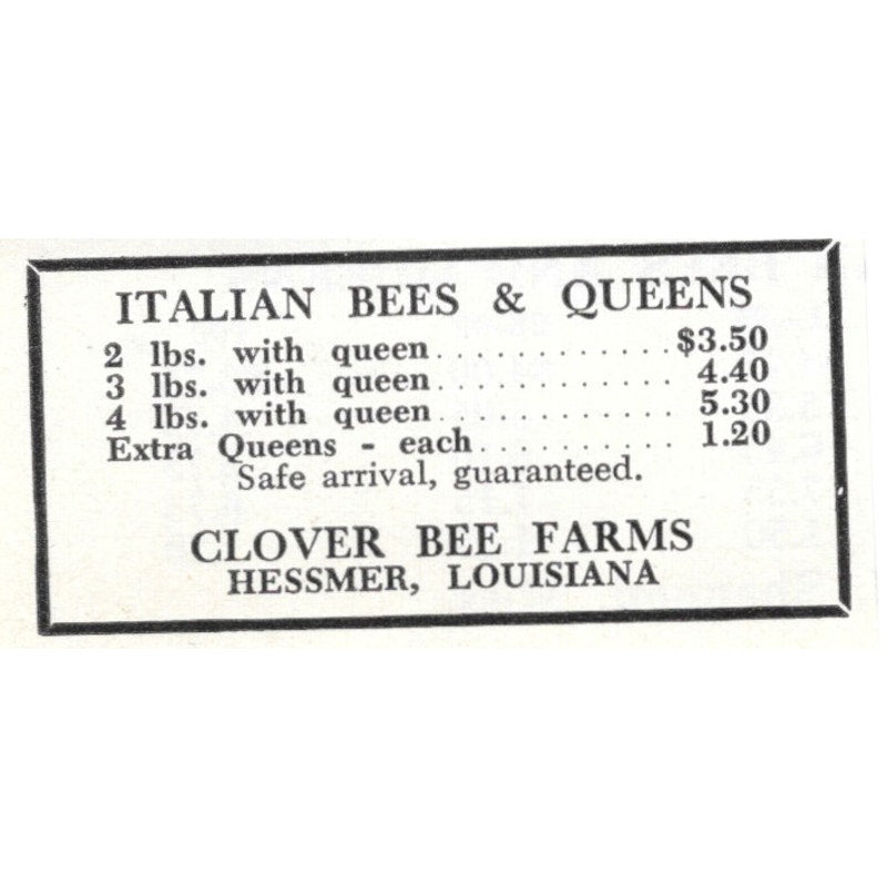 Italian Queens Clover Bee Farms Hessemer LA 1961 Magazine Ad AK6-S13