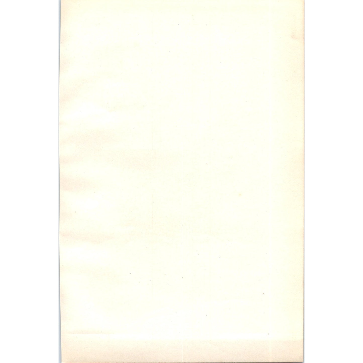 Whinchat Bird 1903 Original Color Engraving Plate Print AD8-B8