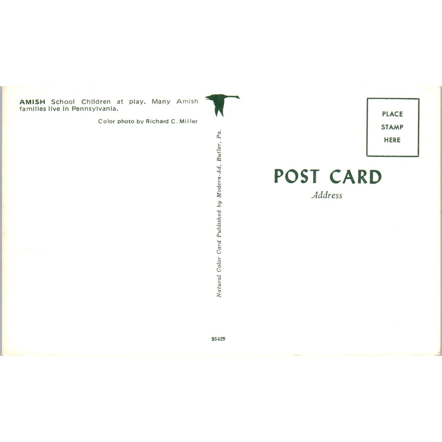 Amish School Children at Play Pennsylvania Dutch Country Postcard PD8