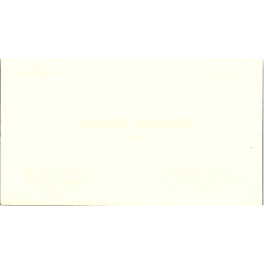 Stephanie Nadolski Artist Houston TX Vintage Business Card SE3-B10