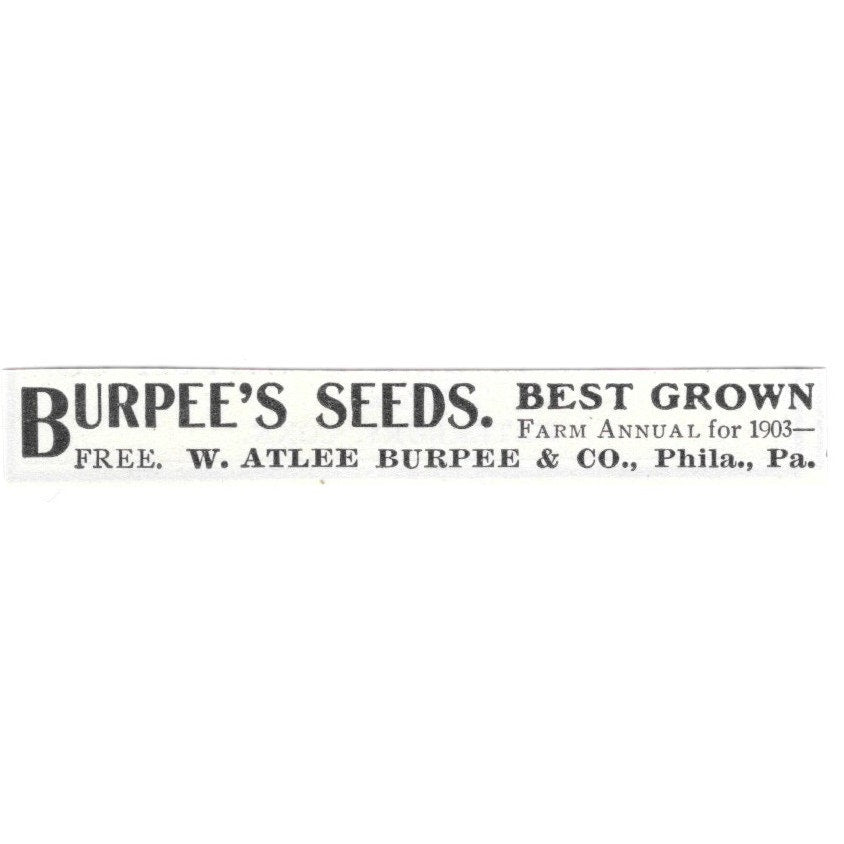 Burpee's Seeds W. Atlee Burpee & Co Philadelphia PA 1903 Ad AG3-S15