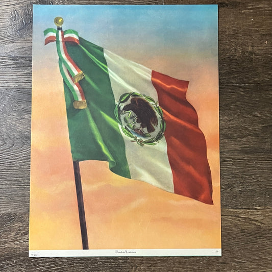 Retro Bandera Mexicana Mexican Flag Official Alsa Print 11x14 Art Print V2
