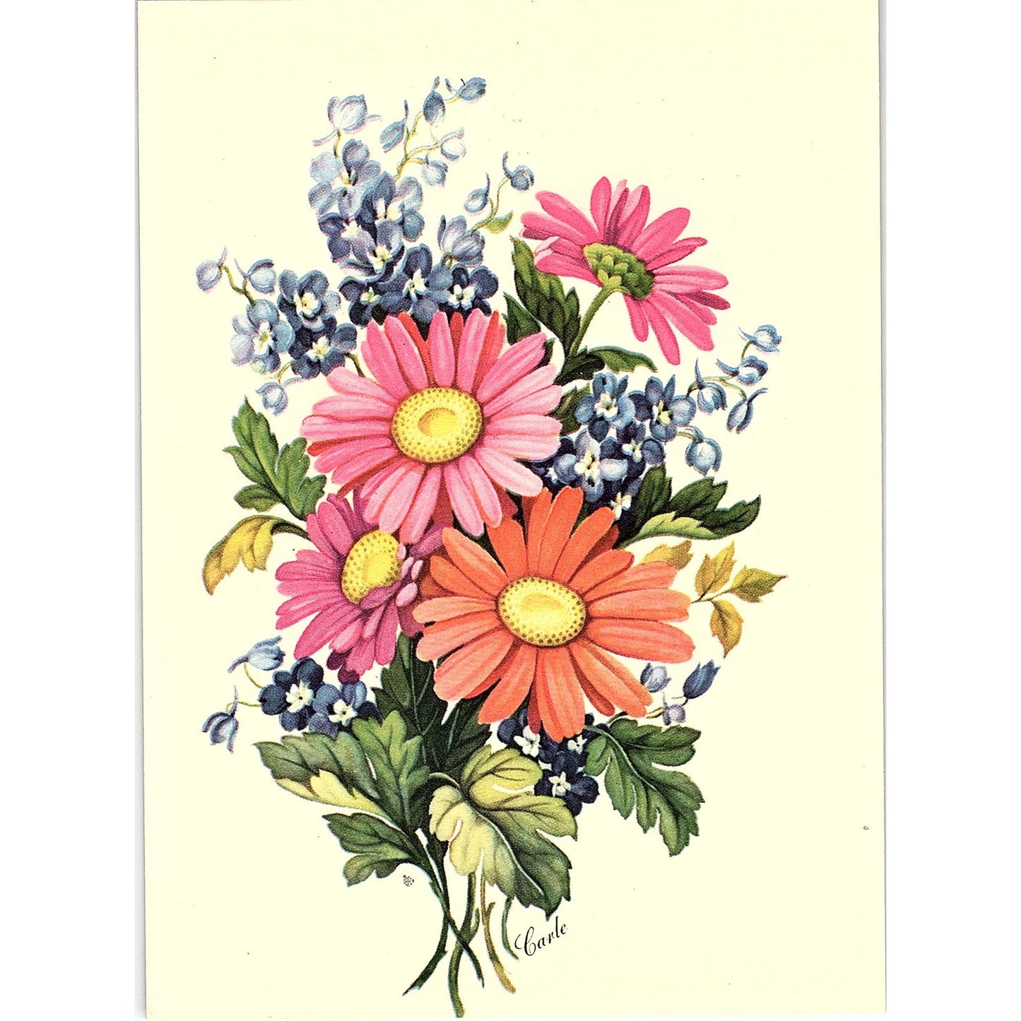 Retro Kitsch Floral Daisy Tulip Peony Carle Vintage Art Print 5x7 V19